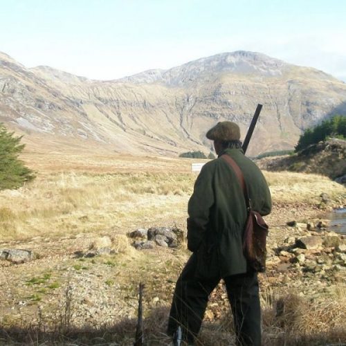Chasseur de petit gibier sur un territoire irlandais