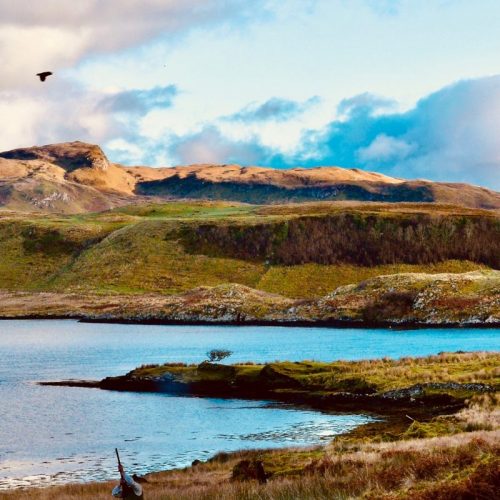 Chasse de rêve au petit gibier sur une île d'Ecosse