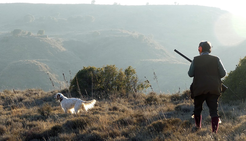 Chasse du perdreaux au chien d'arrêt en Espagne - Secteur Huesca – Image 7
