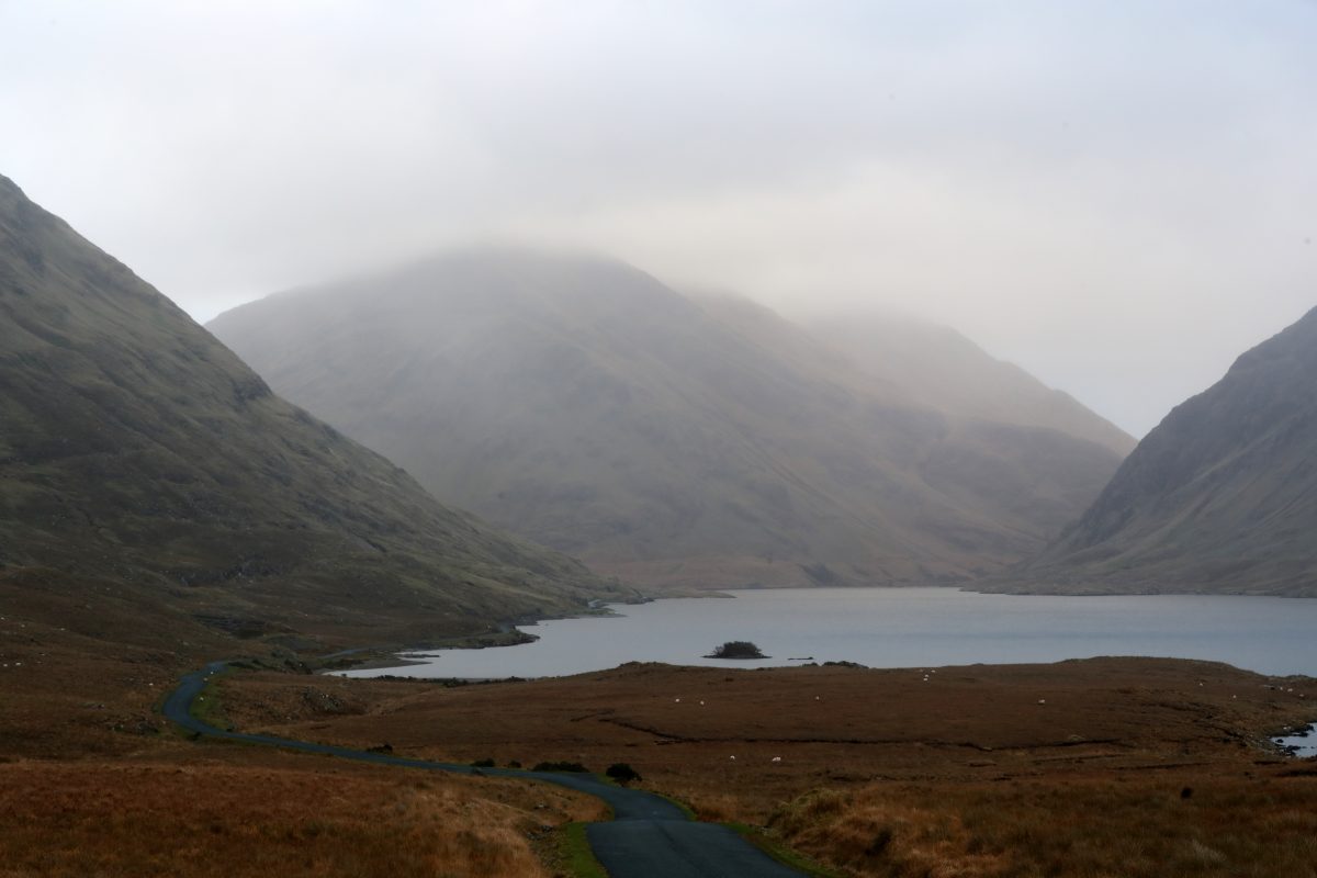 Bécasses et Bécassines en Irlande – Image 3