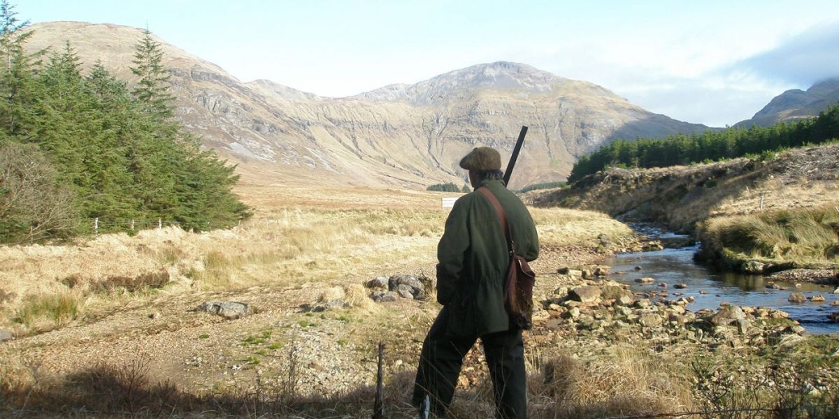 chasse en Irlande