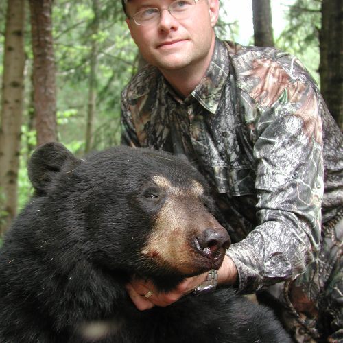 Chasse à l'ours noir au Québec