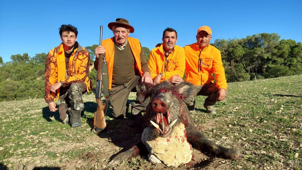 Chasse au sanglier en Tunisie, battue traditionnelle – Image 4