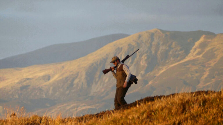 Chasse du petit gibier en Écosse, rough shooting