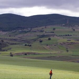 Chasse au sanglier en Tunisie, tout inclus