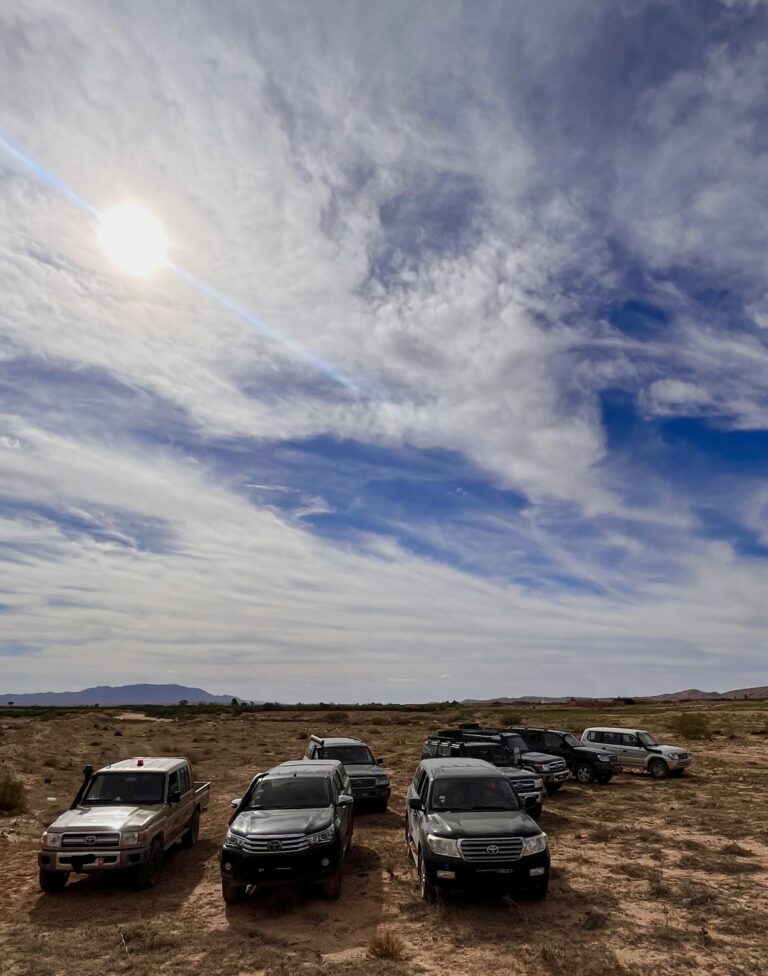 convoi-4x4-chasse-plaine-tunisie