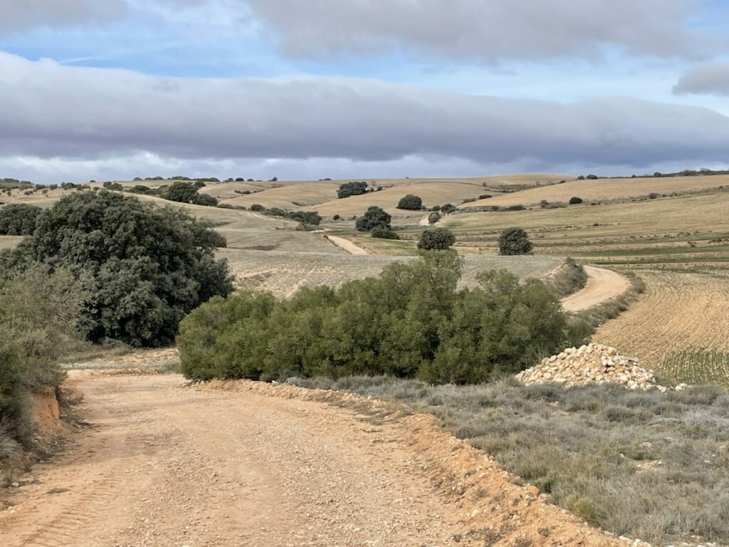 experience-perdreaux-lapins-secteur-espagne-04