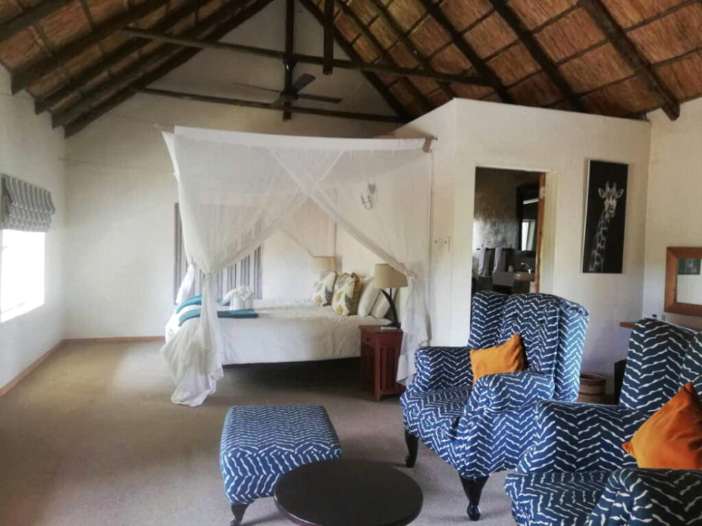 lodge-safari-buffle-afrique