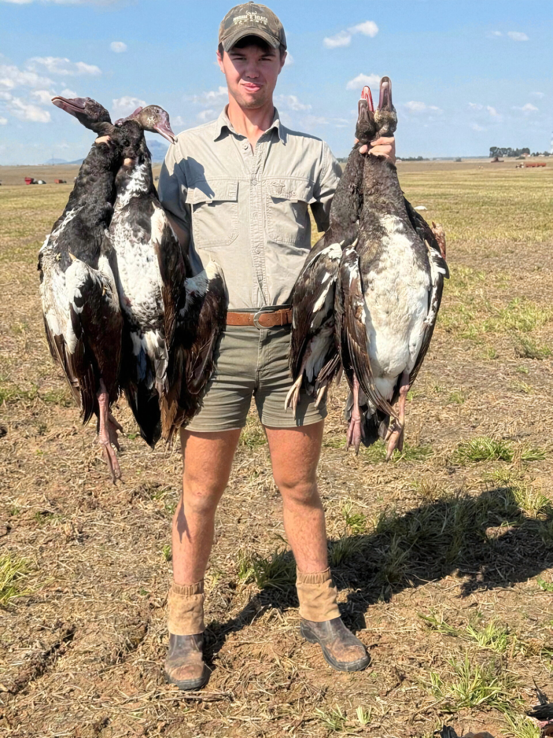 Séjour Oies Canards Pigeons en Afrique du Sud