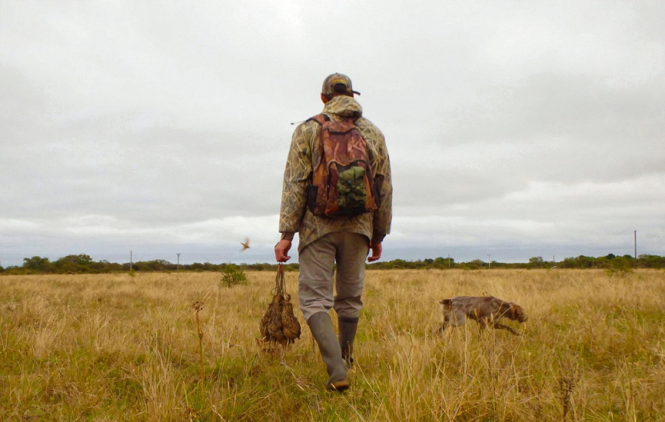 Organisation des deux programmes de chasse depuis le Gran Chaco en Argentine