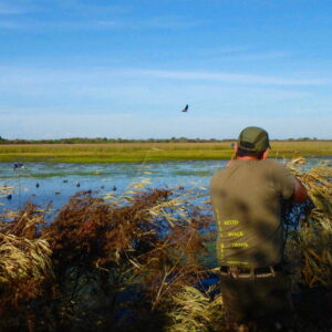 Chasse au canard en Argentine