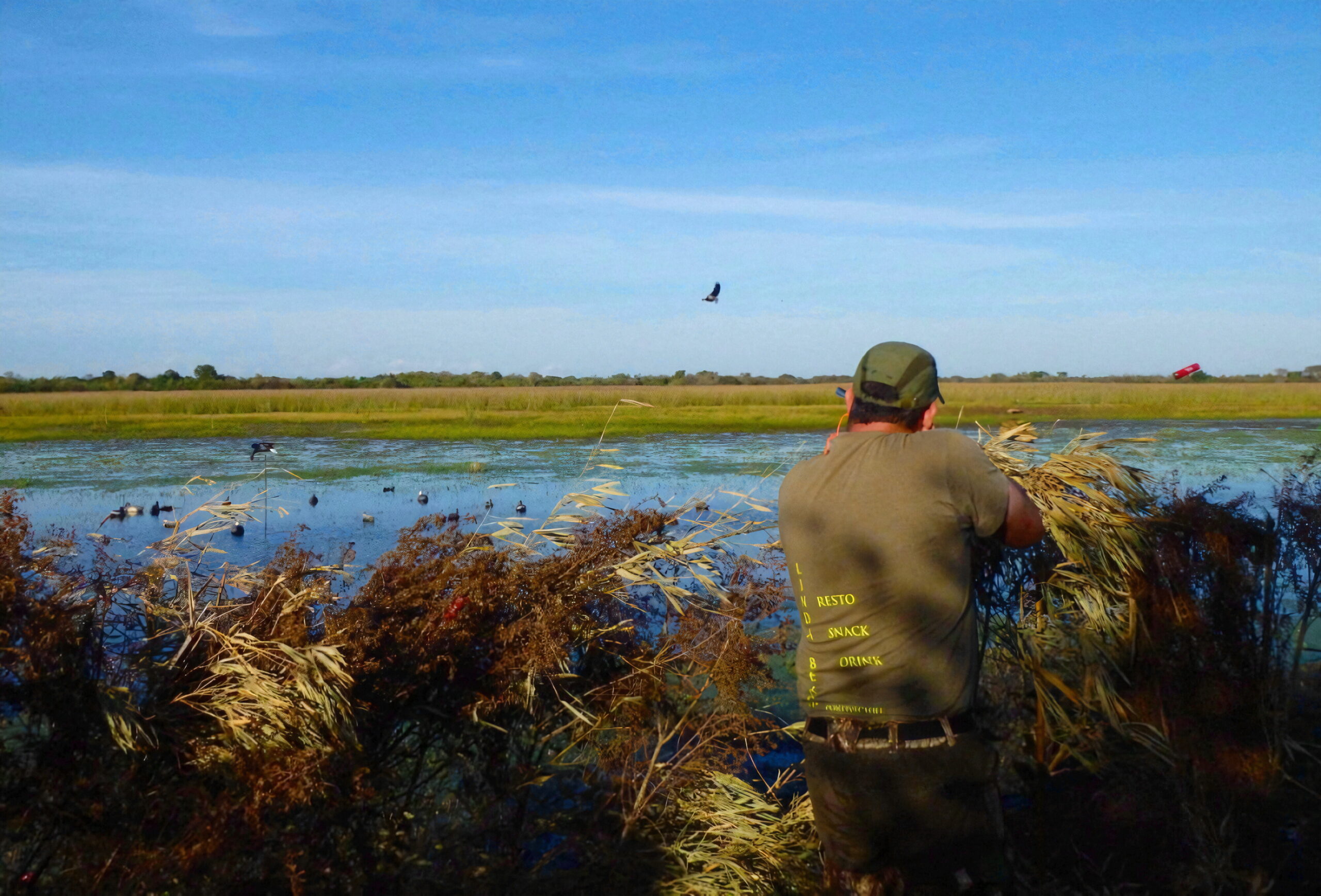 Chasse au canard en Argentine