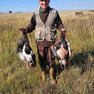 Chasse au petit gibier en Afrique du Sud