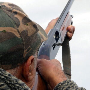 Chasse du petit gibier au Maroc