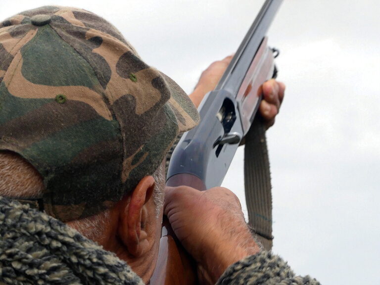 Chasse du petit gibier au Maroc