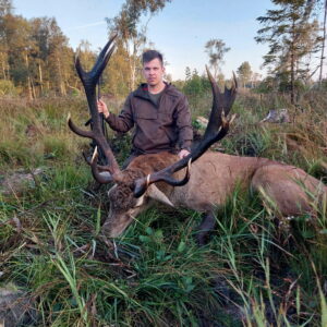Chasse du cerf au brame en Estonie