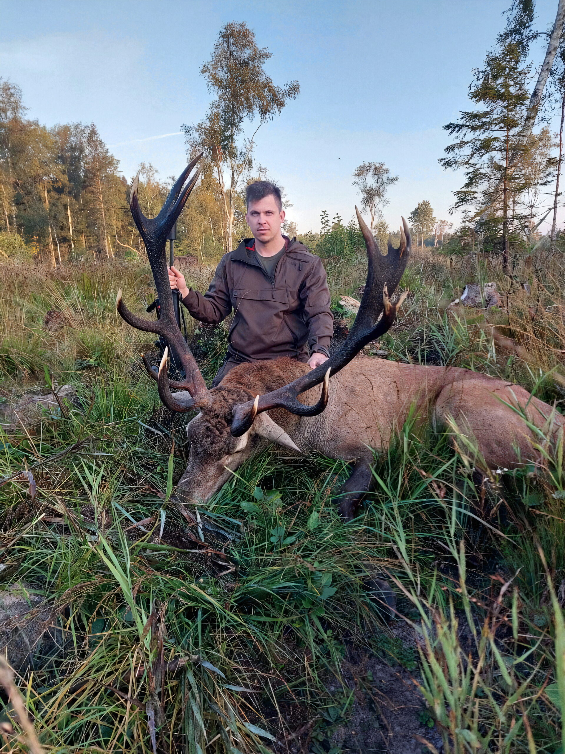 Chasse du cerf au brame en Estonie
