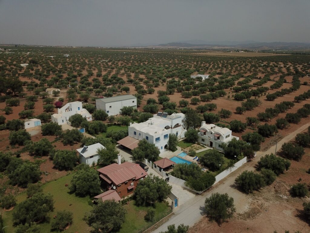vue-aerienne-lodge-oliveraie-tunisie