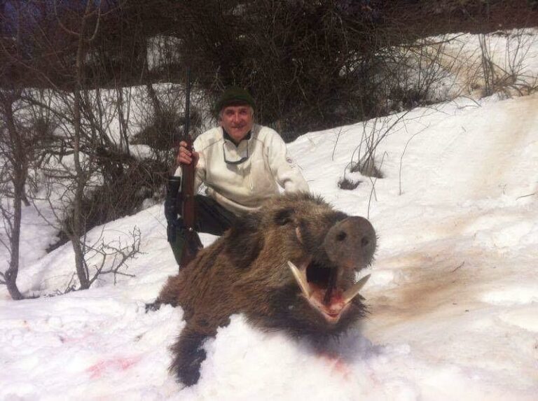 Chasse Tadjikistan sanglier
