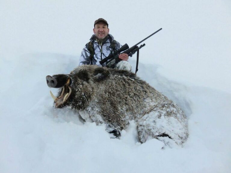 Chasse sanglier keiler