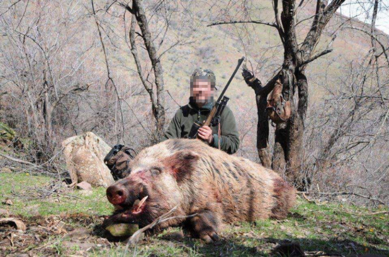 chasse-au-sanglier-tadjikistan-montagne