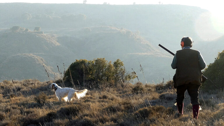 Chasse à la perdrix rouge au chien d'arrêt, Huesca