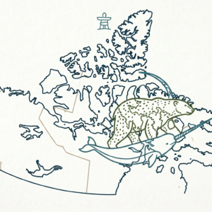 Canada Arctique