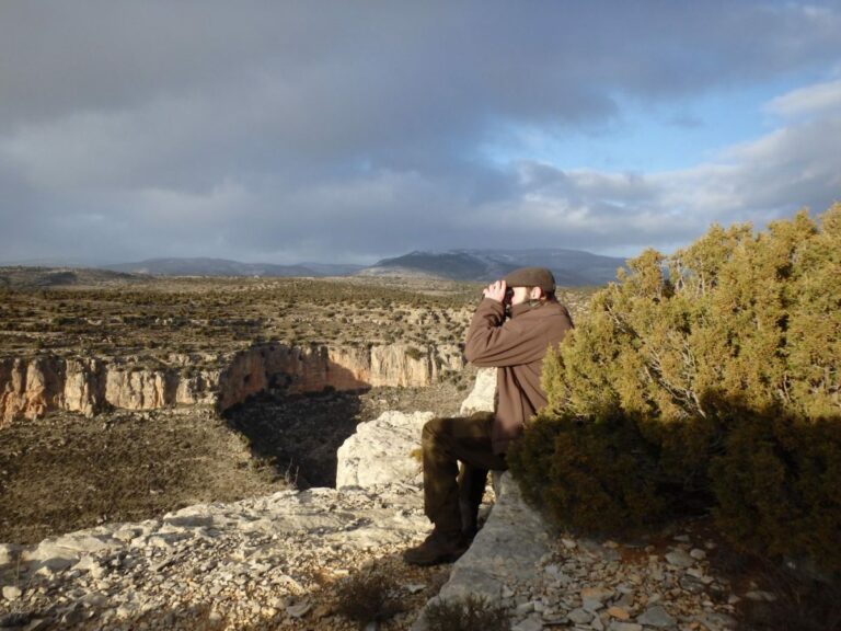 experience-approche-bouquetin-espagne-04