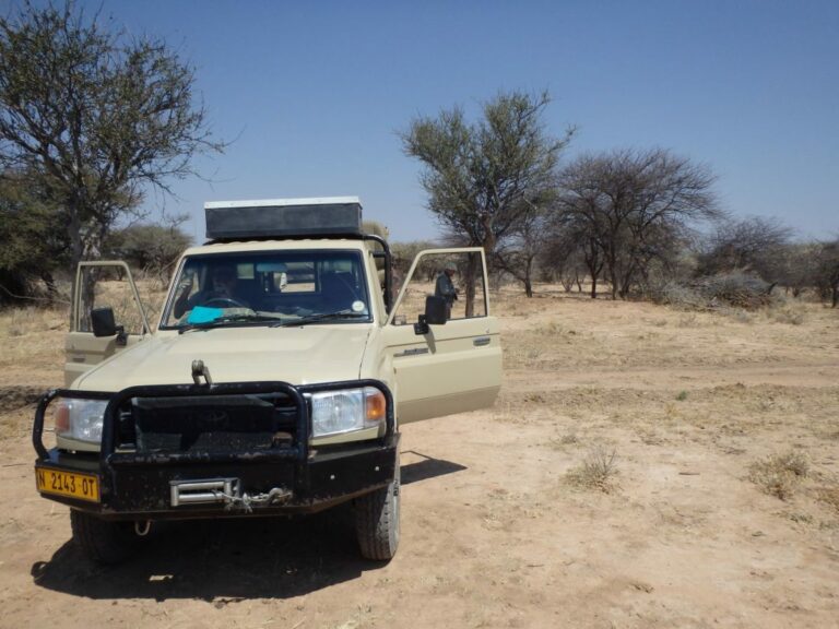 panorama-forfait-4-animaux-namibie-10