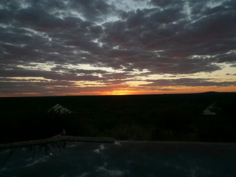 paysage-forfait-4-animaux-namibie-07