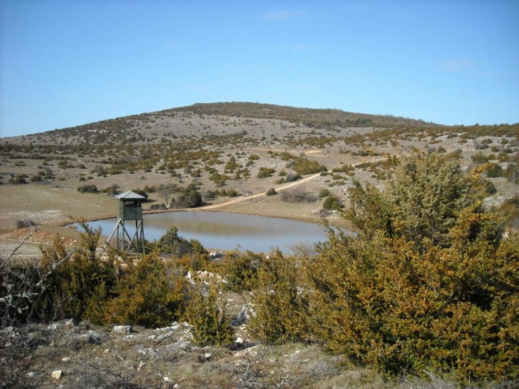 territoire-chasse-prive-toulouse-mirador