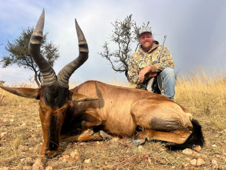 safari-chasse-namibie-bubale-roux-trophee
