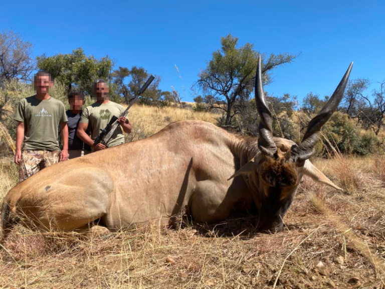 safari-chasse-namibie-eland-trophee