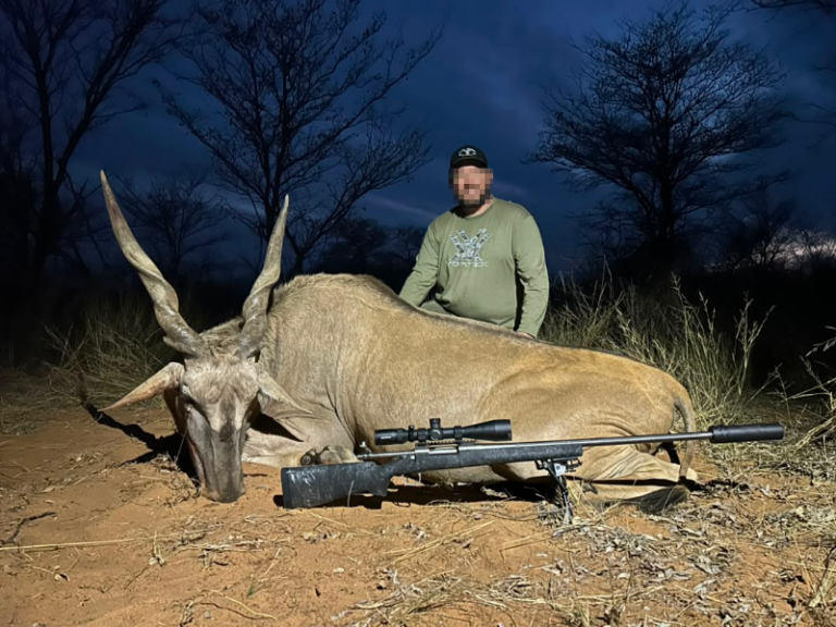 safari-chasse-namibie-eland-trophee-nuit