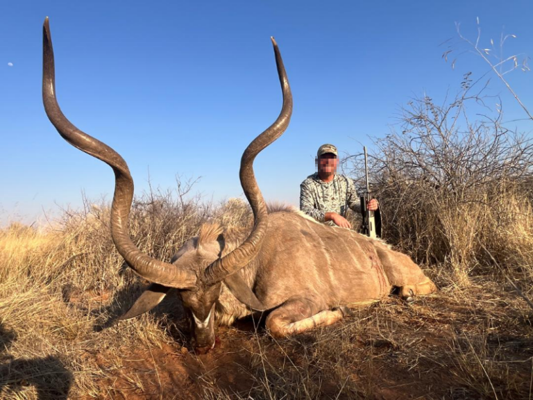 safari-chasse-namibie-koudou-geant-trophee-gros-plan