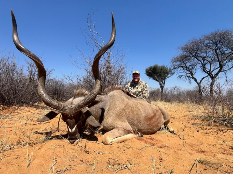 safari-chasse-namibie-koudou-geant-trophee-sable