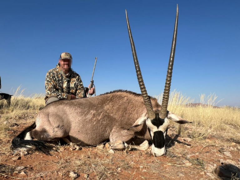 safari-chasse-namibie-oryx-gazelle-trophee