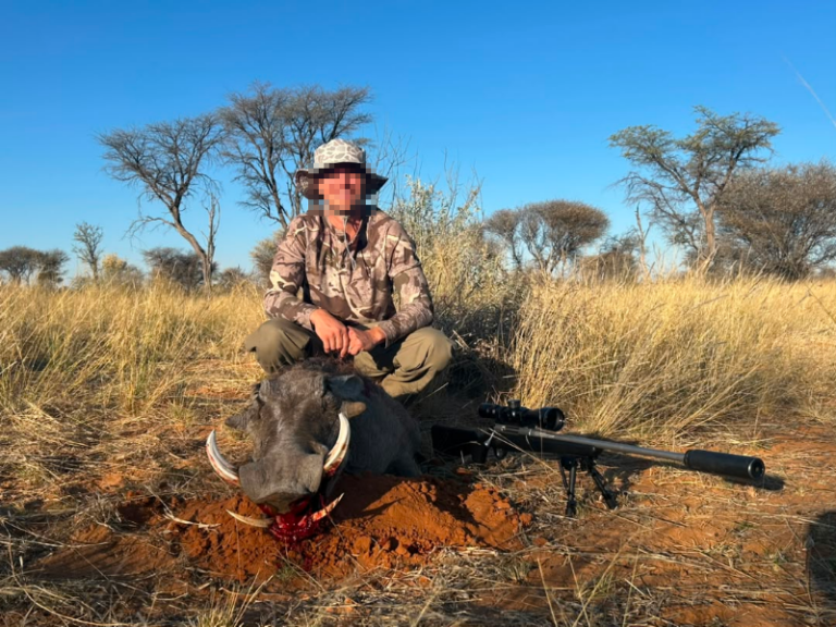safari-chasse-namibie-phacochere-trophee-safari