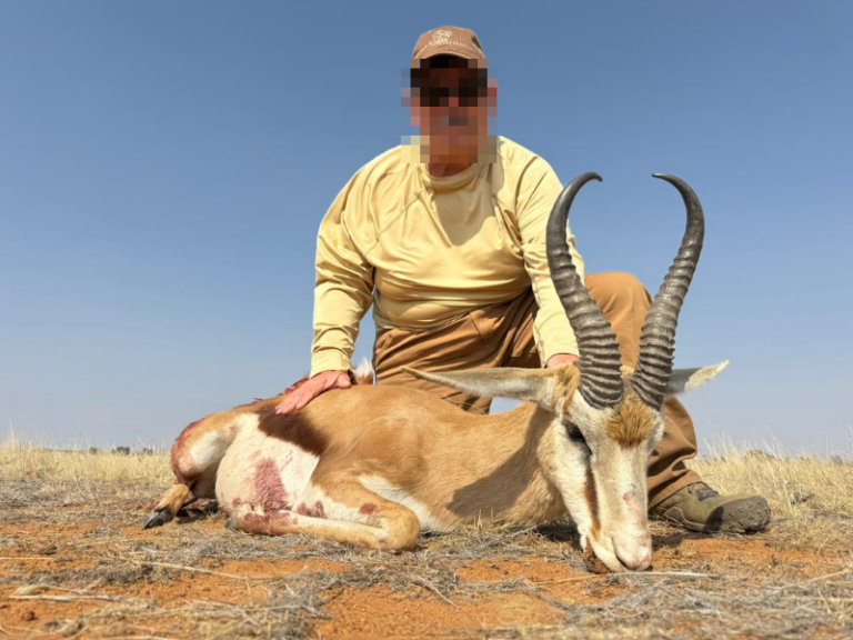 safari-chasse-namibie-springbok-trophee-cornes